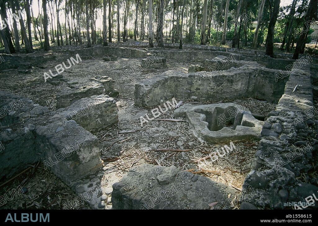ARTE PALEOCRISTIANO. ESPAÑA. Restos de la BASILICA VEGA DEL MAR. Vista general de las ruinas del BAPTISTERIO con la pila bautismal en su centro. SAN PEDRO DE ALCANTARA. Provincia de Málaga. Andalucía.