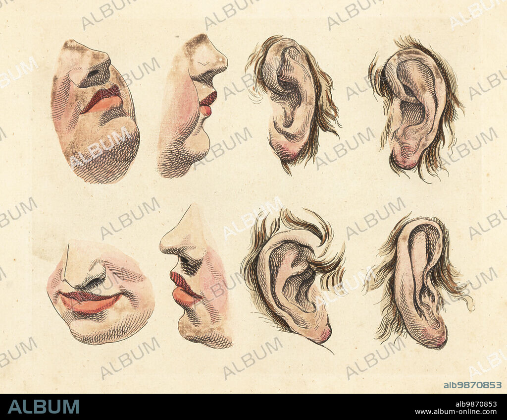 Figures of noses, chins, mouths, lips and ears from paintings by old masters in an 18th century art tutorial book. Handcoloured copperplate engraving from Robert Sayers The Artists Vade Mecum, Being the Whole Art of Drawing, London, 1766.