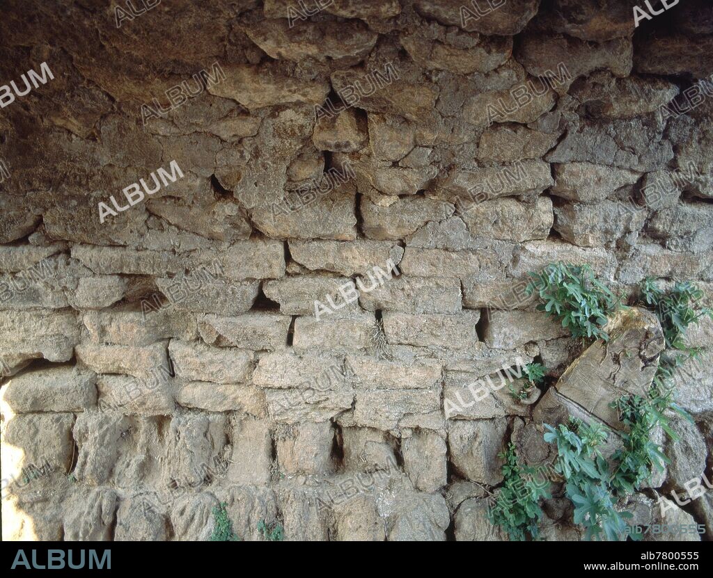 PUENTE ROMANO DE CARMONA-DET CONSTRUC EN PIEDRA CON RETOÑO HIGUERA.