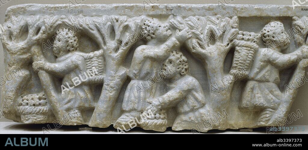 Relieve de los aceituneros. Mármol (28 x 77 cm). Finales del siglo III d. C., principios siglo IV. Representación de la recogida de la aceitura. Recolección manual mediante el procedimiento conocido como el"ordeño". Procede de la parte trasera del Cementerio de Nuestra Señora de la Salud, Córdoba. Fragmento de relieve que probablemente formó parte de un sarcófago o monumento funerario. Museo Arqueológico y Etnológico de Córdoba. Andalucía. España.