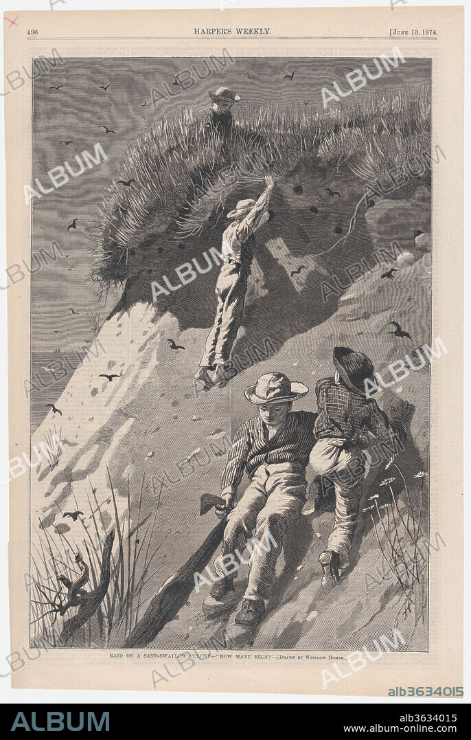 Raid on a Sand-swallow Colony - "How Many Eggs?" - Drawn by Winslow Homer (Harper's Weekly, Vol. XVIII). Artist: After Winslow Homer (American, Boston, Massachusetts 1836-1910 Prouts Neck, Maine). Dimensions: image: 13 3/8 x 9 1/8 in. (34 x 23.2 cm)
sheet: 15 9/16 x 10 5/16 in. (39.5 x 26.2 cm). Engraver: W. H. Lagarde (American, active 1873-74). Publisher: Harper's Weekly (American, 1857-1916). Date: June 13, 1874.