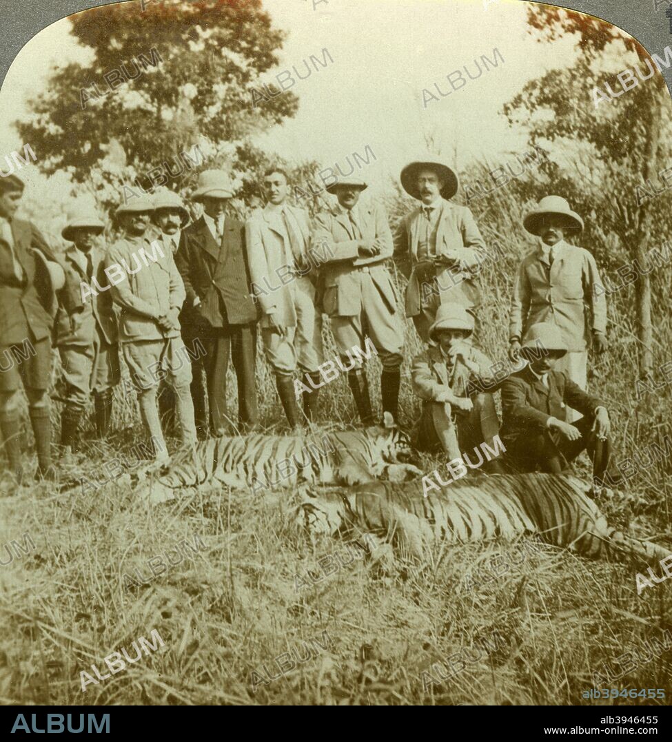 Tiger hunting, Cooch Behar, West Bengal, India, c1900s(?). Stereoscopic card. The Maharajah of Cooch Behar, his guests and the results of the day's shoot.