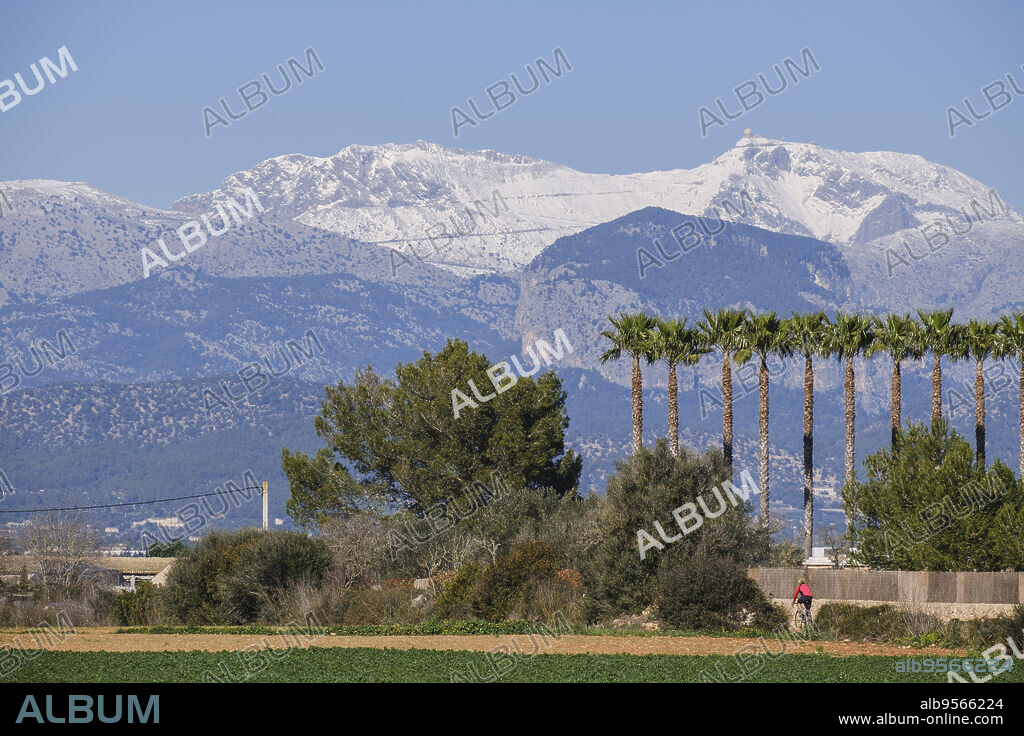 snow-capped Puig de Massanella seen from Santa Eugenia village, Majorca, Balearic Islands, Spain.