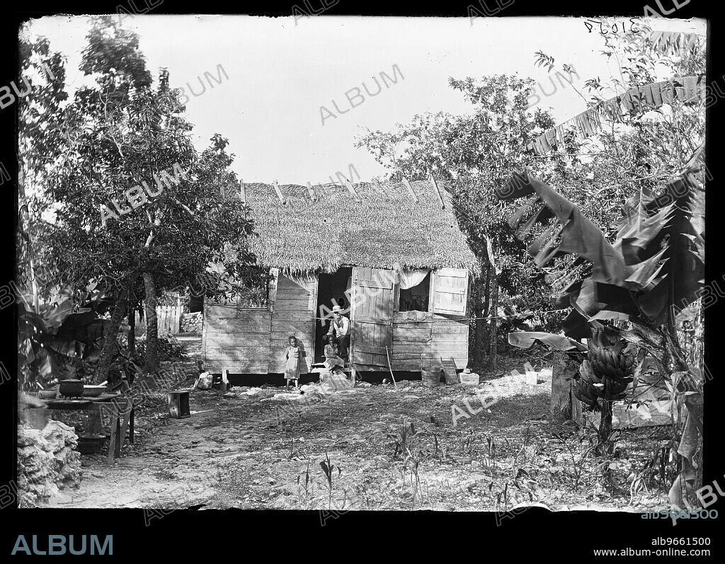 Thatched building and banana plant, possibly Nassau, Bahamas, between 1900 and 1915.