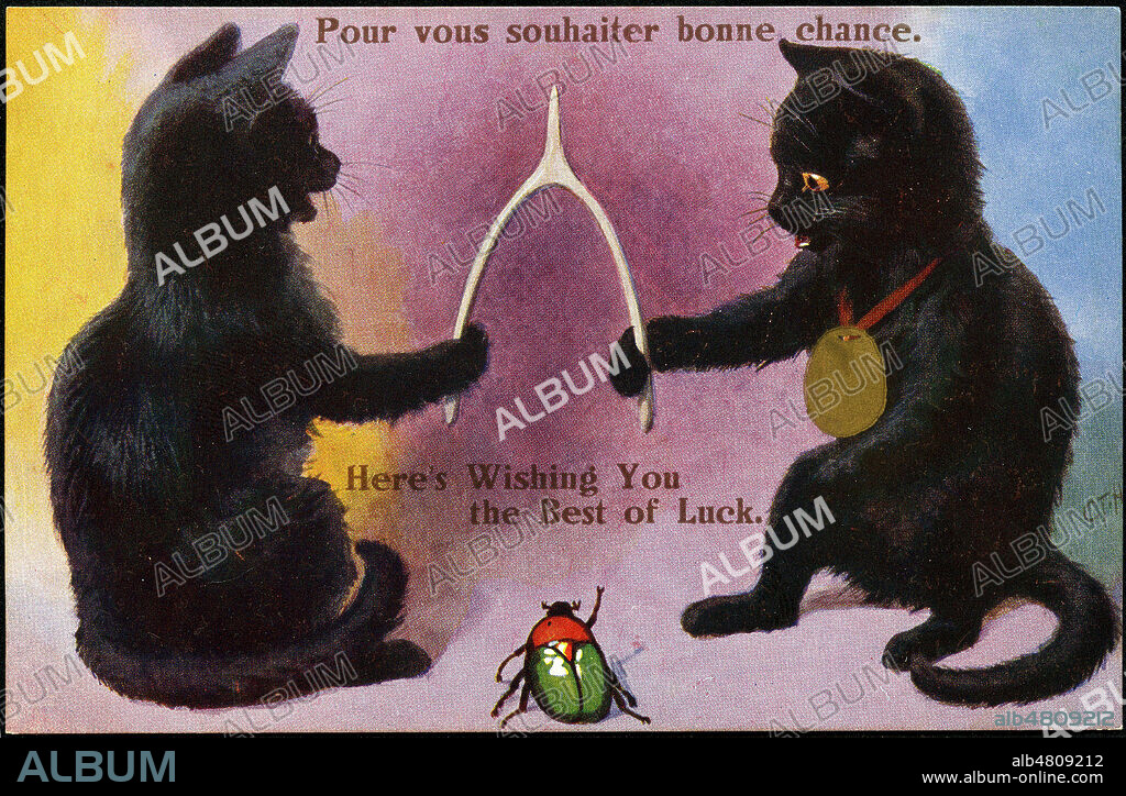 Pour vous souhaiter bonne chance (Deux chats noirs tirant chacun sur un os de brechet de poulet). Illustration de C. TIM pour une carte postale envoyee en 1938. Credit : Collection IM/Kharbine-Tapabor.