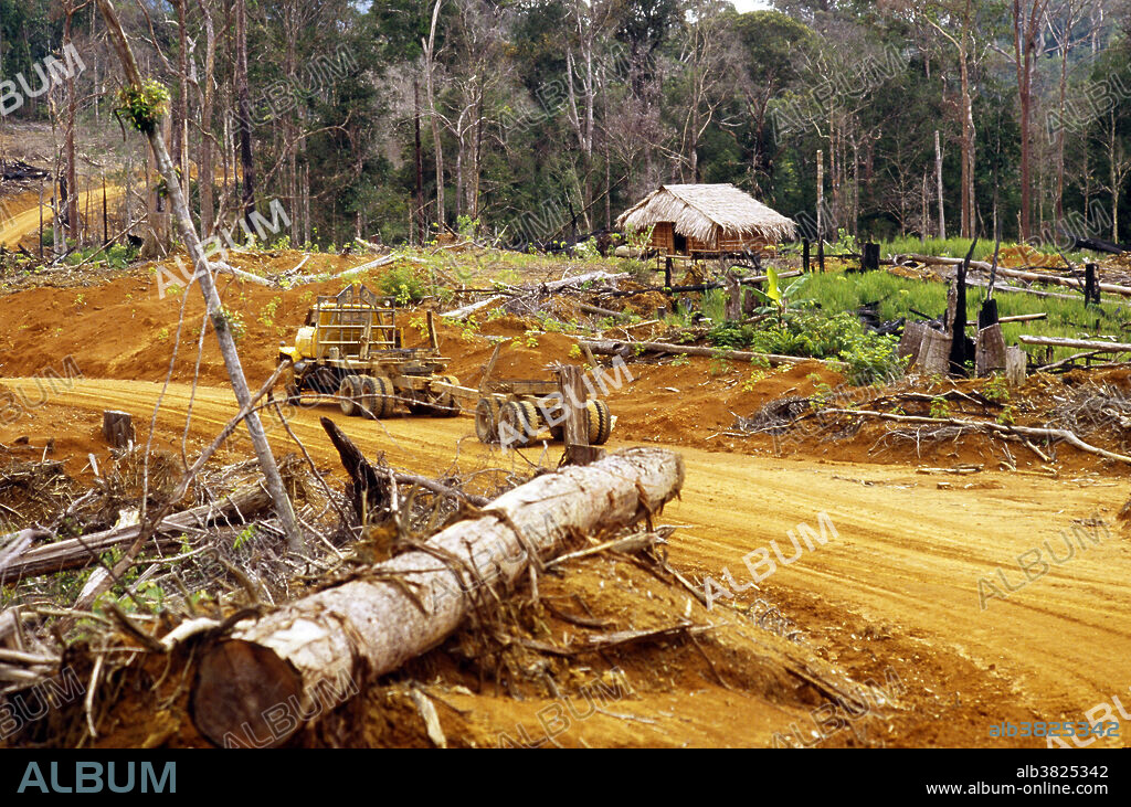 The frontier of rainforest clearfelling near Gunung Waktu Dama, Kalimantan Barat, Indonesian Borneo. Ten thousand square kilometers of primary rainforest are destroyed or altered each year in Indonesia alone, affecting biodiversity, soils and drainage basins.