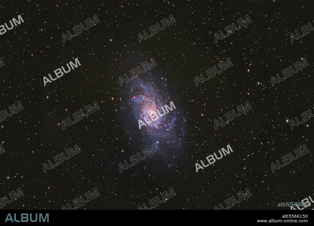 Messier 33, the Triangulum Galaxy.