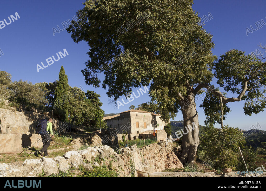 finca Sa Campaneta, valle de Superna, Esporlas, sierra de tramuntana, Mallorca. Islas Baleares. Spain.