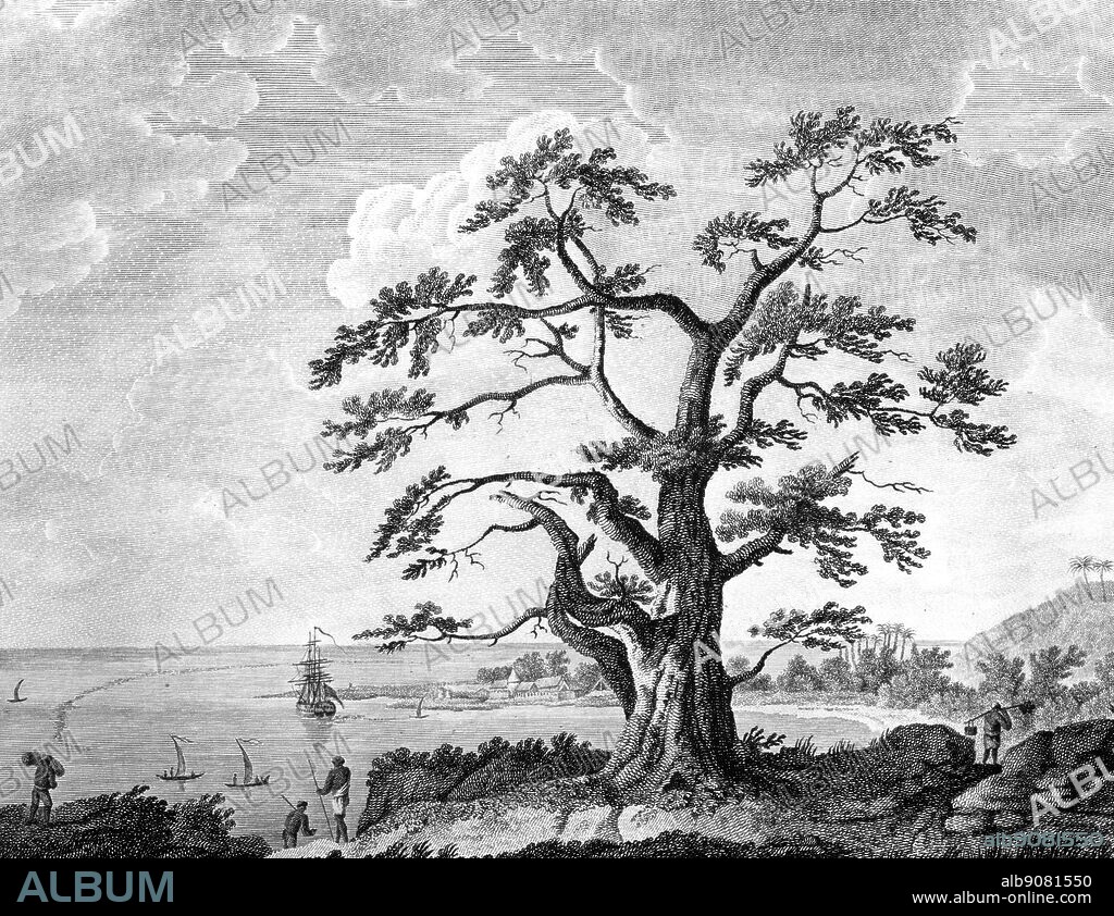 Matavai Bay, Tahiti, where the Endeavour had anchored in 1769. Darwin and the Beagle by Alan Moorhead, page 212.