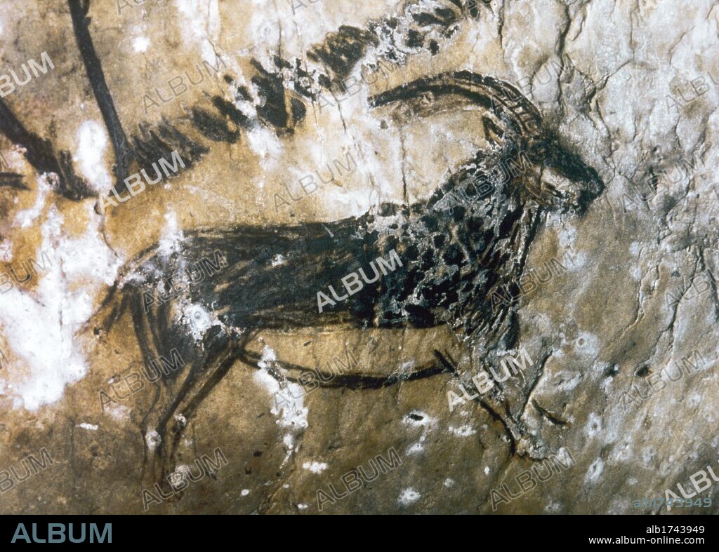 ARTE PREHISTORICO. PALEOLITICO. FRANCIA. CUEVA DE NIAUX. Representación de un REBECO de silueta negra de gran fuerza. Salón Negro. Pinturas fechadas en el periodo MAGDALENIENSE. PALEOLITICO SUPERIOR (35.000-10.000 a.C.) Departamento de Ariege. Francia.