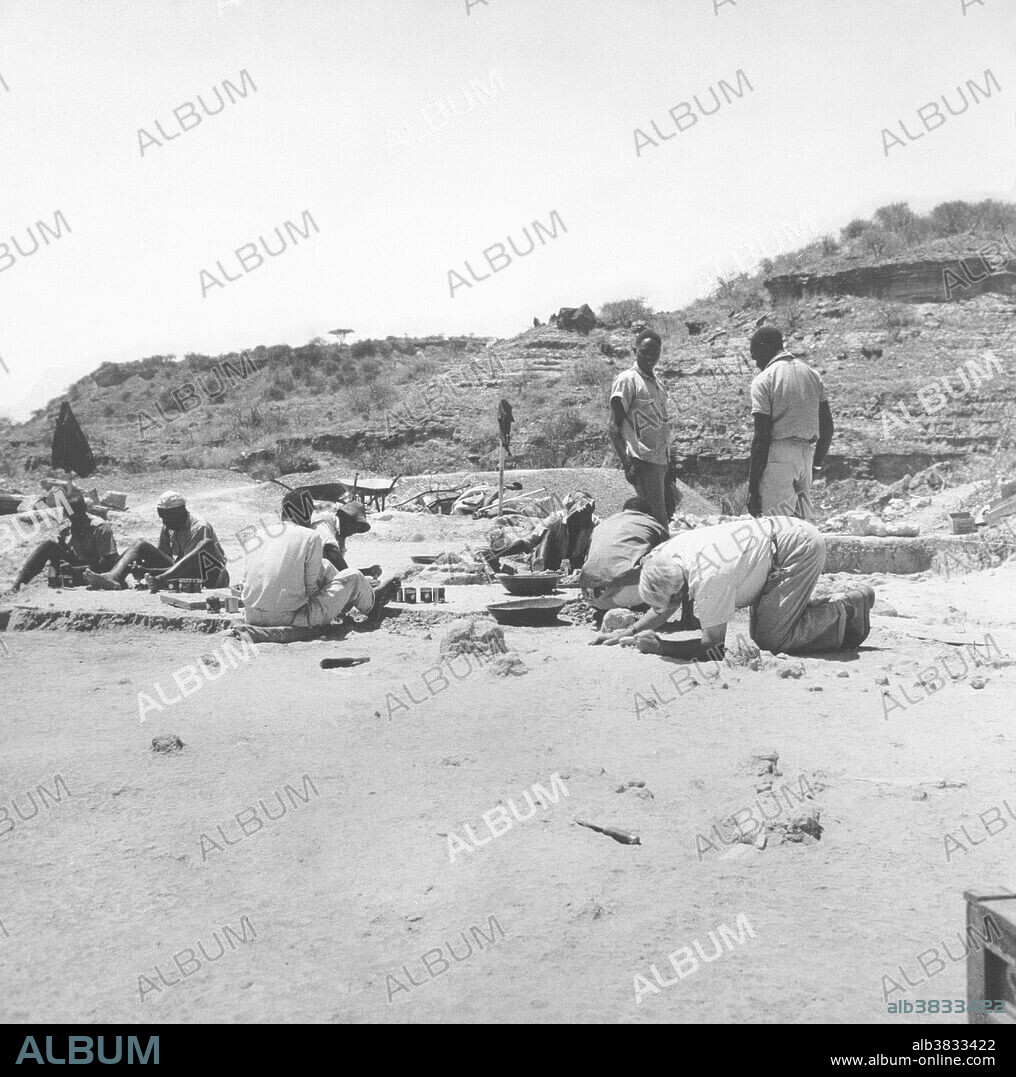 Kenyan archaeologist and anthropologist Dr. Louis Leakey (1903-1972) and assistants at work in Olduvai Gorge, Tanzania, Africa. Leakey helped to establish the field of paleoanthropology, which is the study of fossil hominds. He was married to British anthropologist and archaeologist Mary Leakey (1913-1996).
