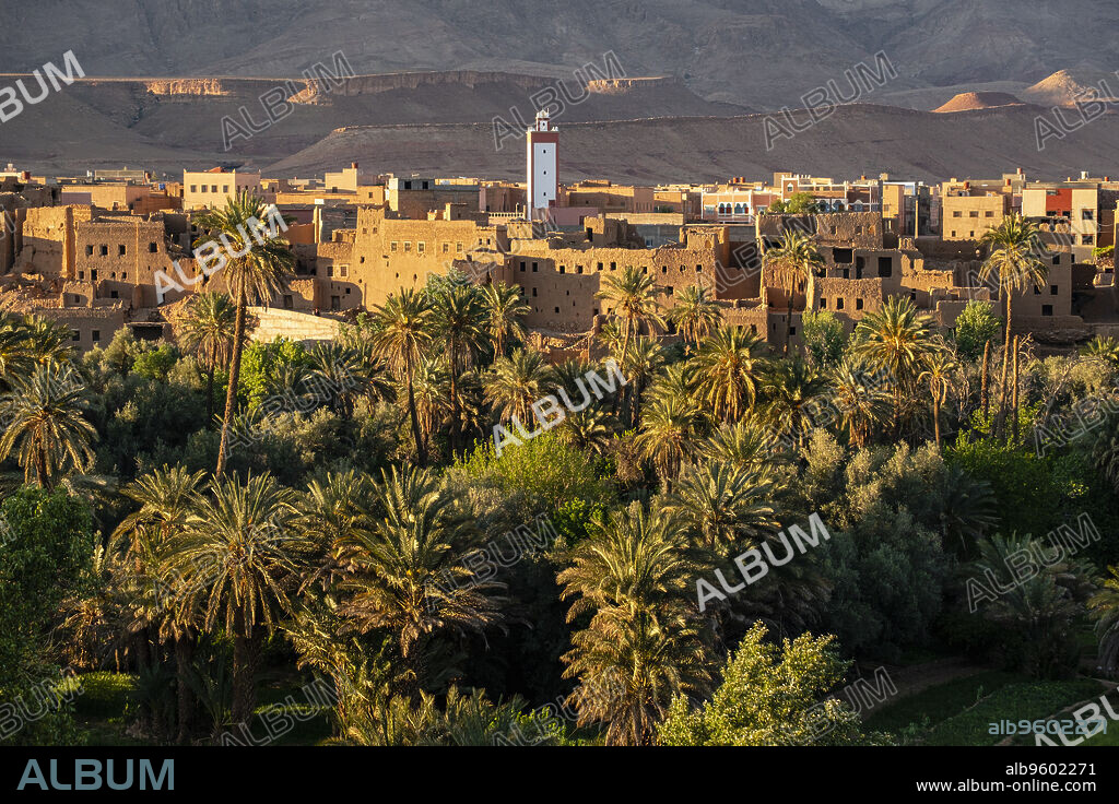 oasis of Tineghir, Draa-Tafilalet, Morocco, Africa.