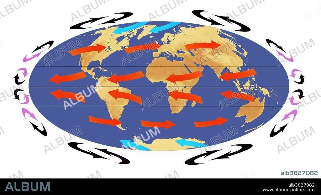 Global air circulation. Artwork of the Earth illustrating the three cell model of global air circulation. In this model, atmospheric circulation occurs in convection cells located at polar, mid-latitude and tropical latitudes. The arrows indicate the flow of warm air (purple) and cool air (black) within these cells. The effect of the Earth's rotation causes the flow around the cells to be deflected, giving rise to three main wind patterns, indicated by thick red and blue arrows on the global map. These are: the polar easterlies (blue), the prevailing westerlies (top and bottom red) and the tropical easterlies (middle red).