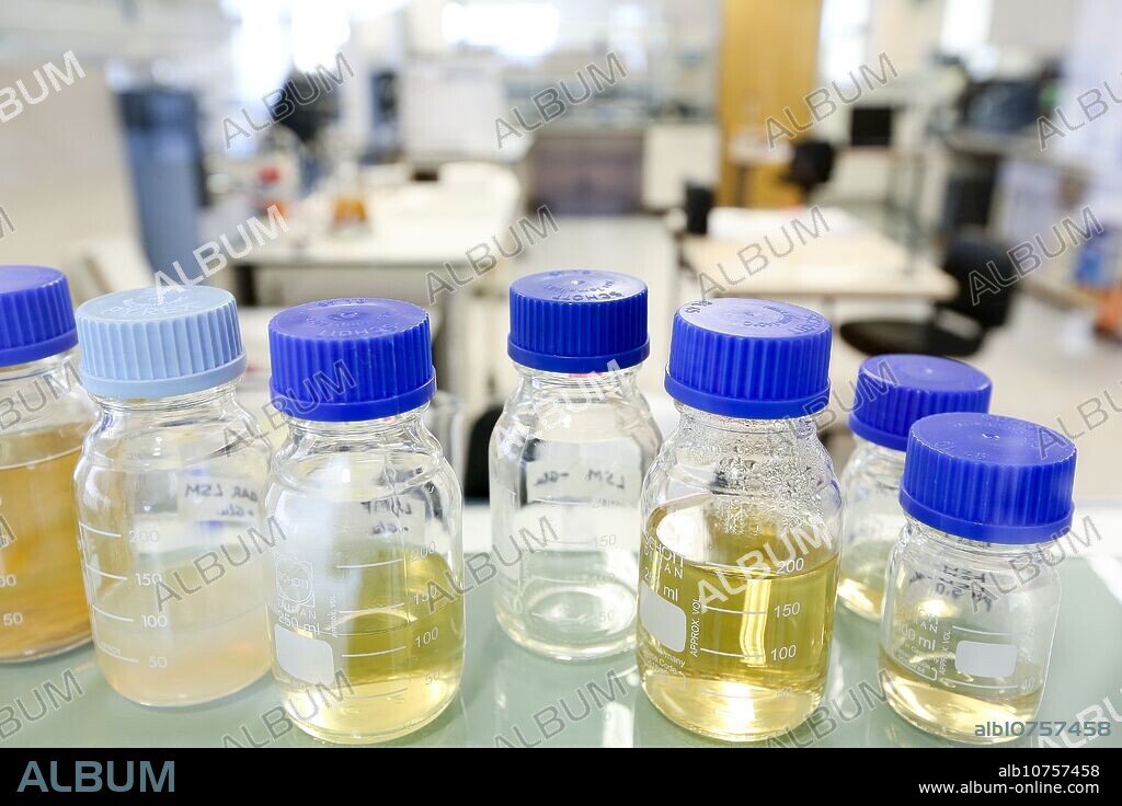Microbiology lab. Chemical Analysis Laboratory. Technological Services to Industry. Tecnalia Research & Innovation, Donostia, San Sebastian, Gipuzkoa, Basque Country, Spain.