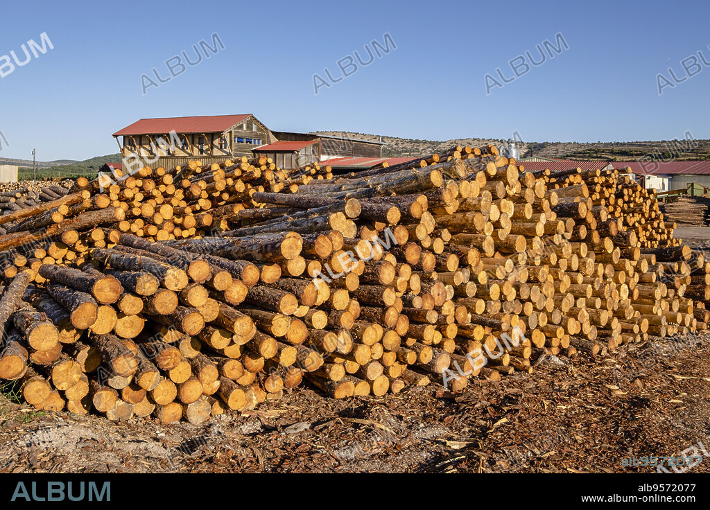 wood industry, Cabrejas del Pinar, Soria, Autonomous Community of Castile, Spain, Europe.