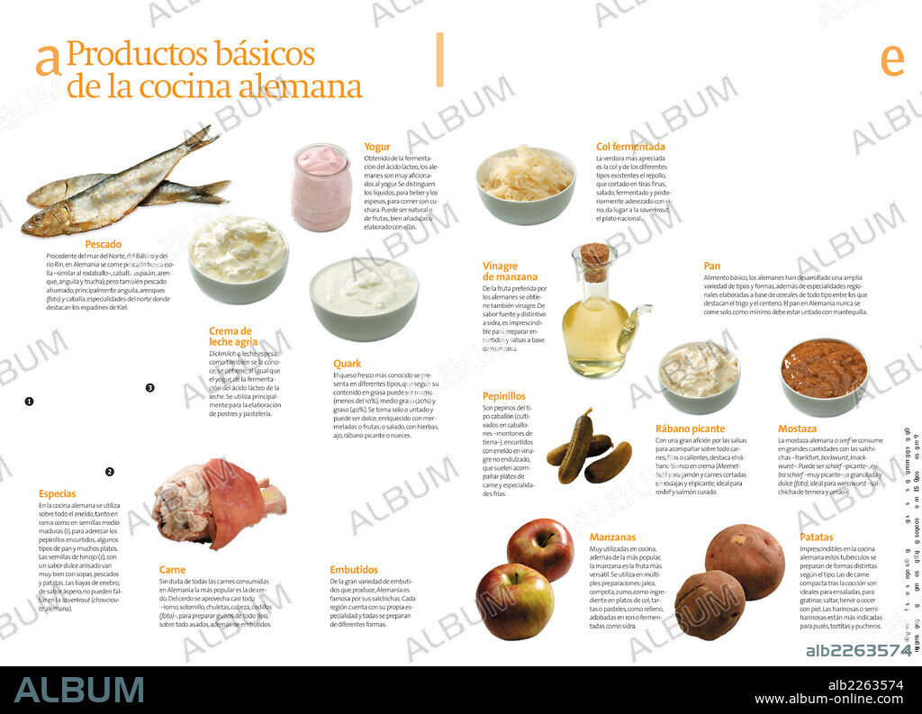 Basic ingredients of German cuisine. Infographics about the basic foods of the German diet and the main regional dishes.