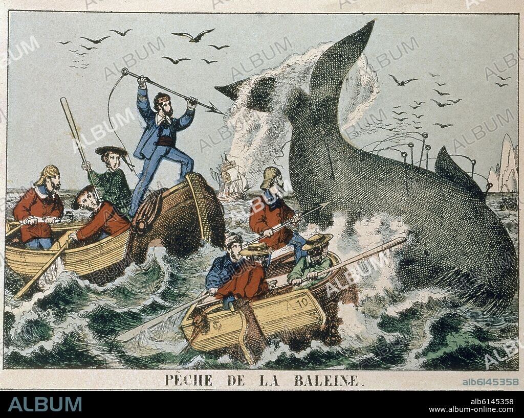 PESCA DE LA BALLENA - GRABADO SIGLO XIX.