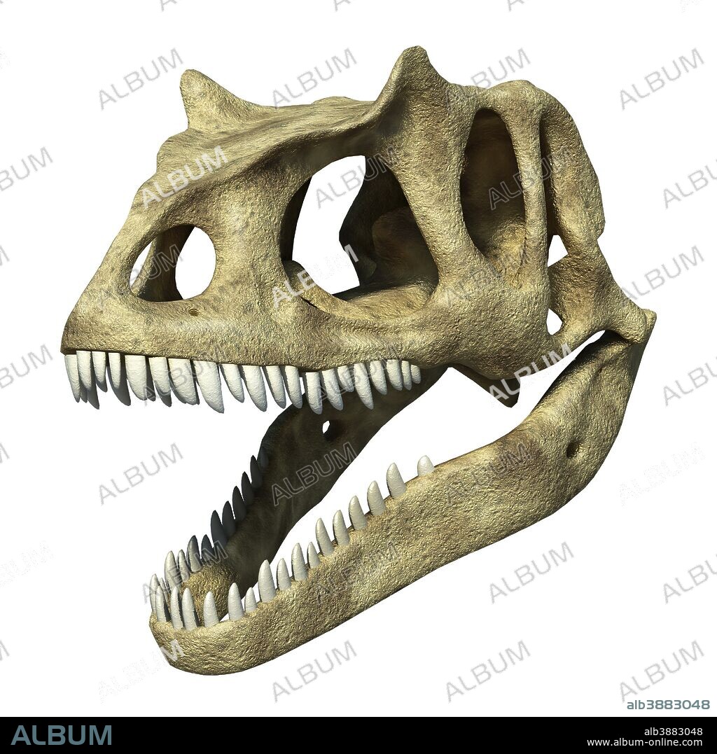 3D rendering of an Allosaurus skull.
