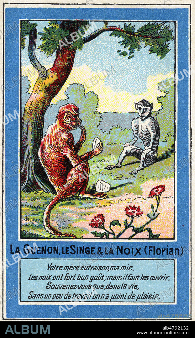 'La guenon, le singe et la noix'. Chromo vers 1900, serie sur les fables de FLORIAN. Illustration anonyme. Credit : Collection IM/KHARBINE-TAPABOR.