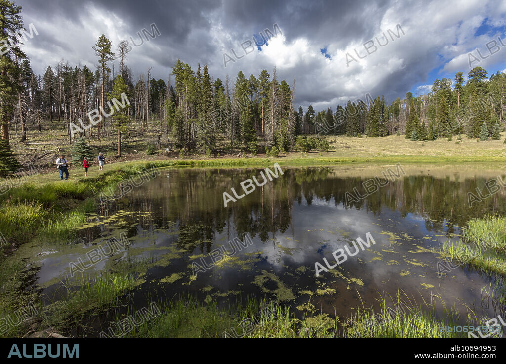 Fishing at Aker Lake, 9000' altitude, Apache-Sitgreaves National Forest, Mogollon Rim, Arizona, USA.