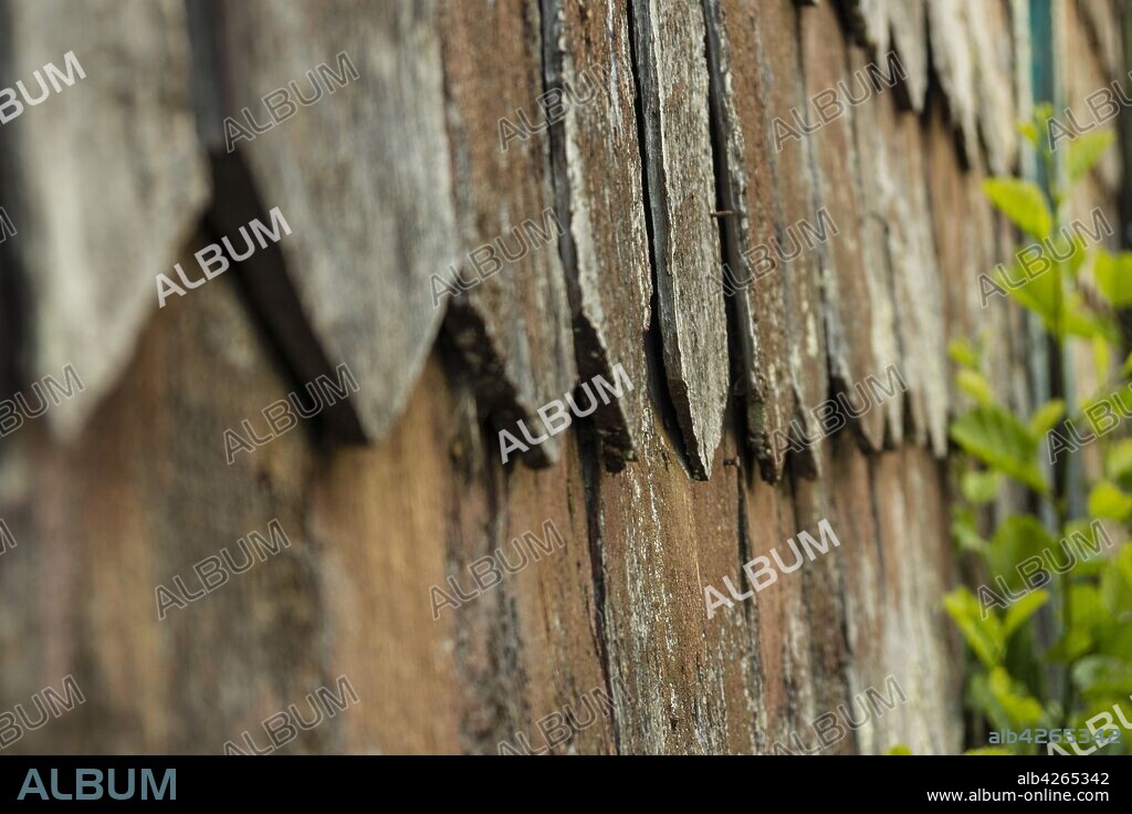 vivienda tradicional chilota, fabricada con tejas de madera, Quinchao, archipiélago de Chiloé ,provincia de Chiloé ,región de Los Lagos,Patagonia, República de Chile,América del Sur.