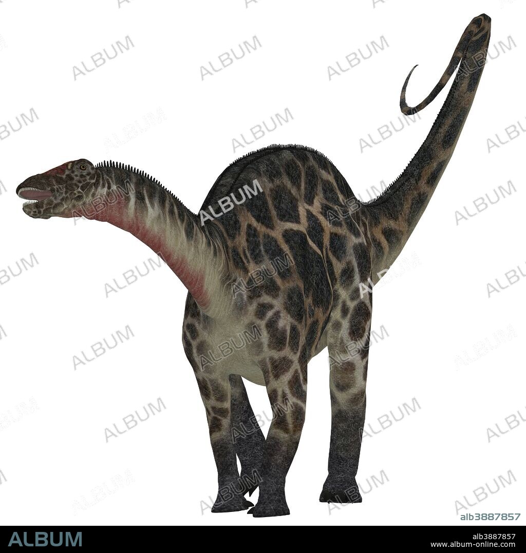 Dicraeosaurus was a sauropod herbivorous dinosaur that lived in the Jurassic Era of Tanzania, Africa.