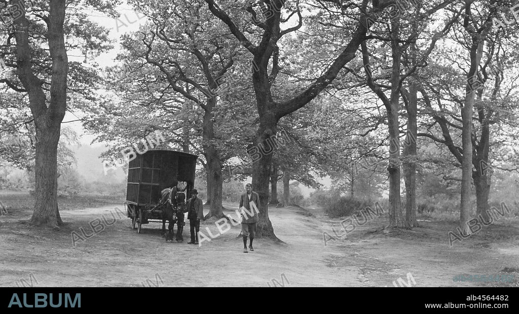 Tourism. camping. early 900.