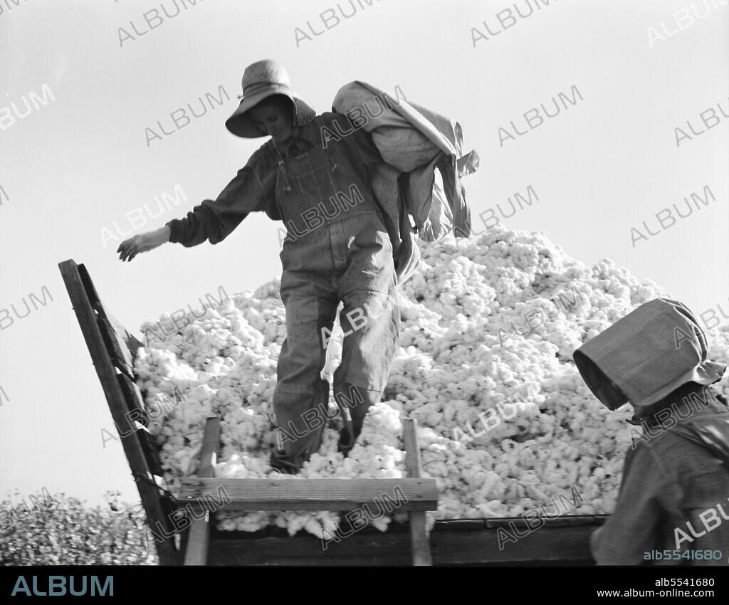 DOROTHEA LANGE. Cotton picker. San Joaquin Valley, California.