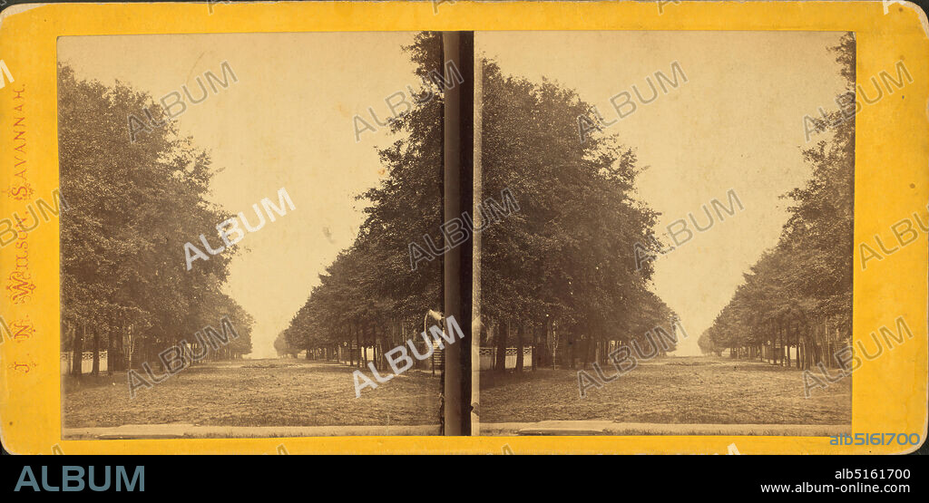 James Street, Savannah, Ga., still image, Stereographs, 1860 - 1890, Wilson, J. N. (Jerome Nelson) (1827-1897 ).