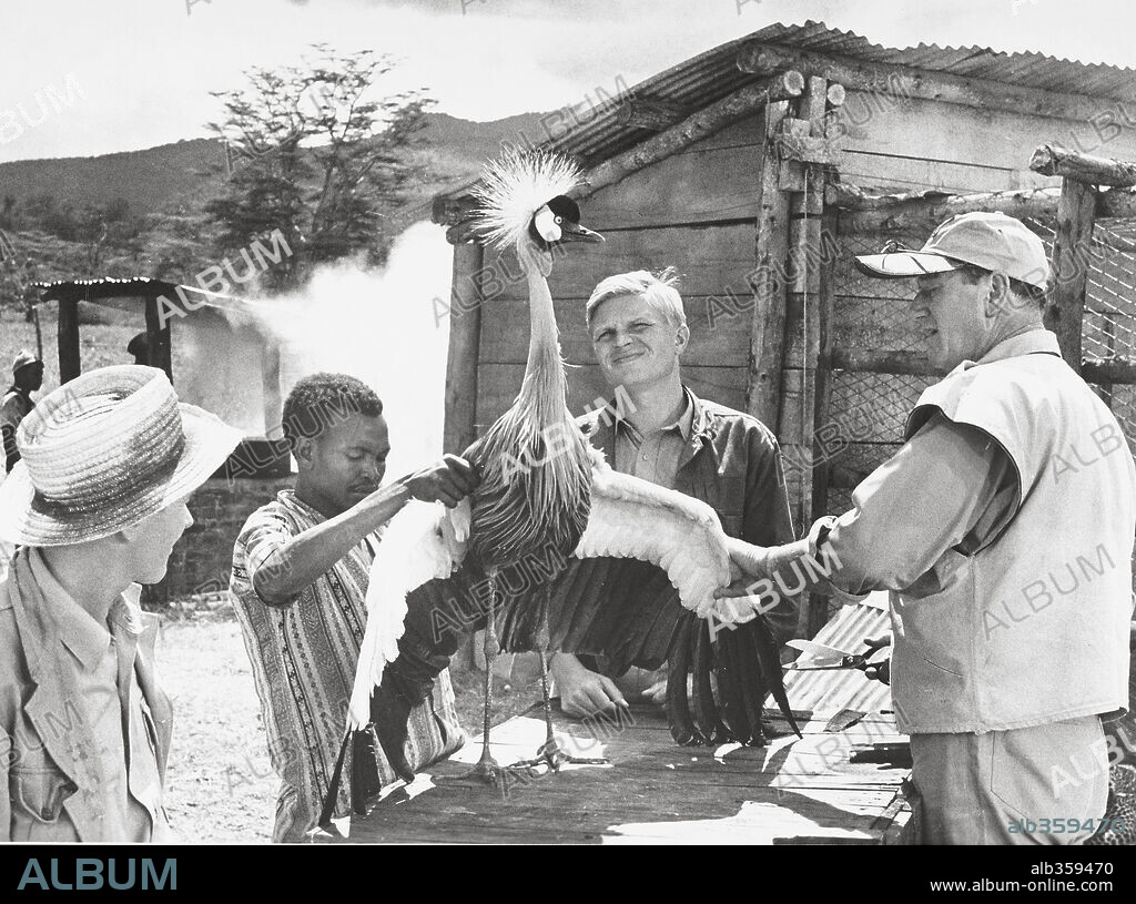 HARDY KRUGER y JOHN WAYNE en HATARI!, 1962, dirigida por HOWARD HAWKS. Copyright PARAMOUNT PICTURES.