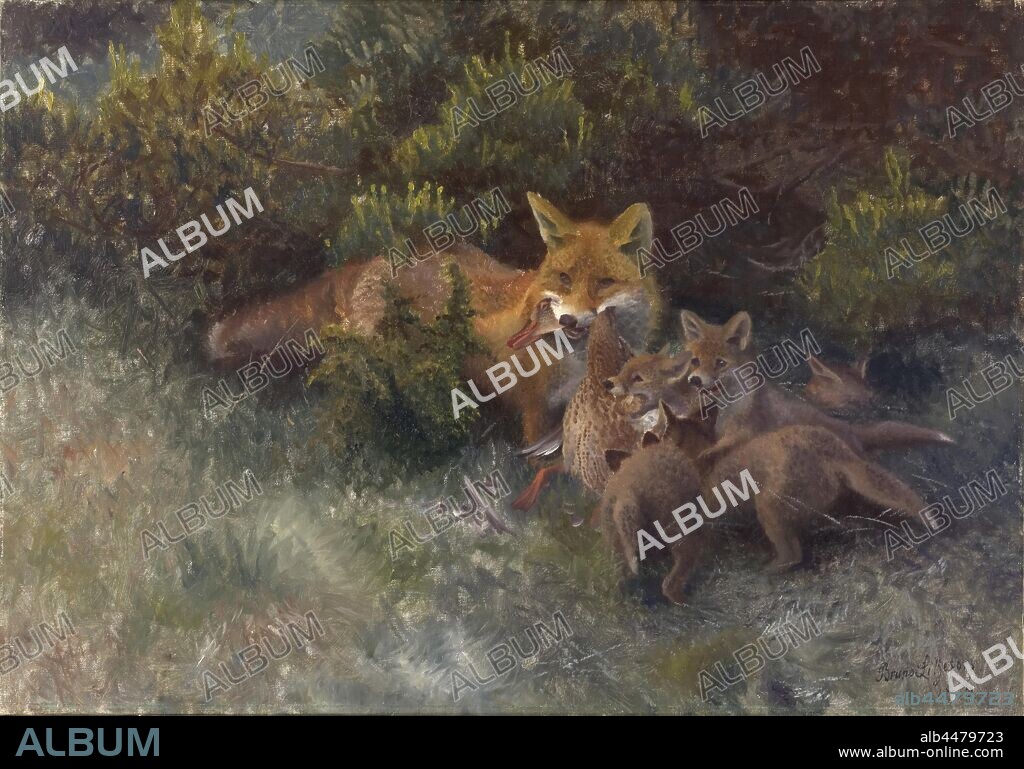 Bruno Liljefors, Fox with Cubs, Fox with kids, painting, 1912, oil on canvas, Height, 70 cm (27.5 inches), Width, 100 cm (39.3 inches), Signed.