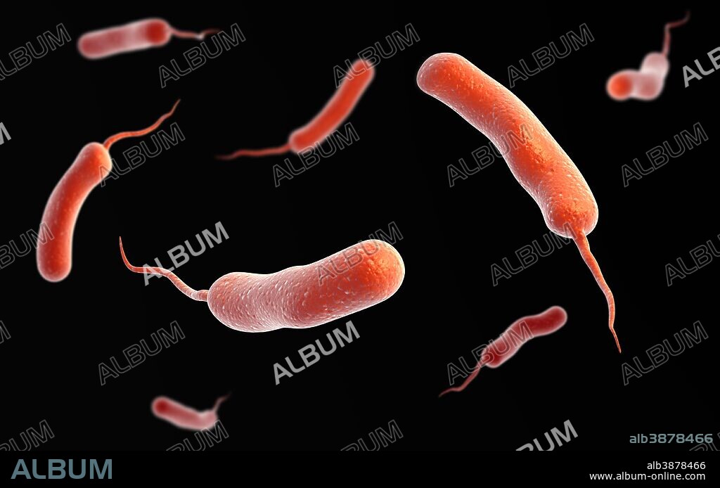 Conceptual image of vibrio cholerae causing cholera.
