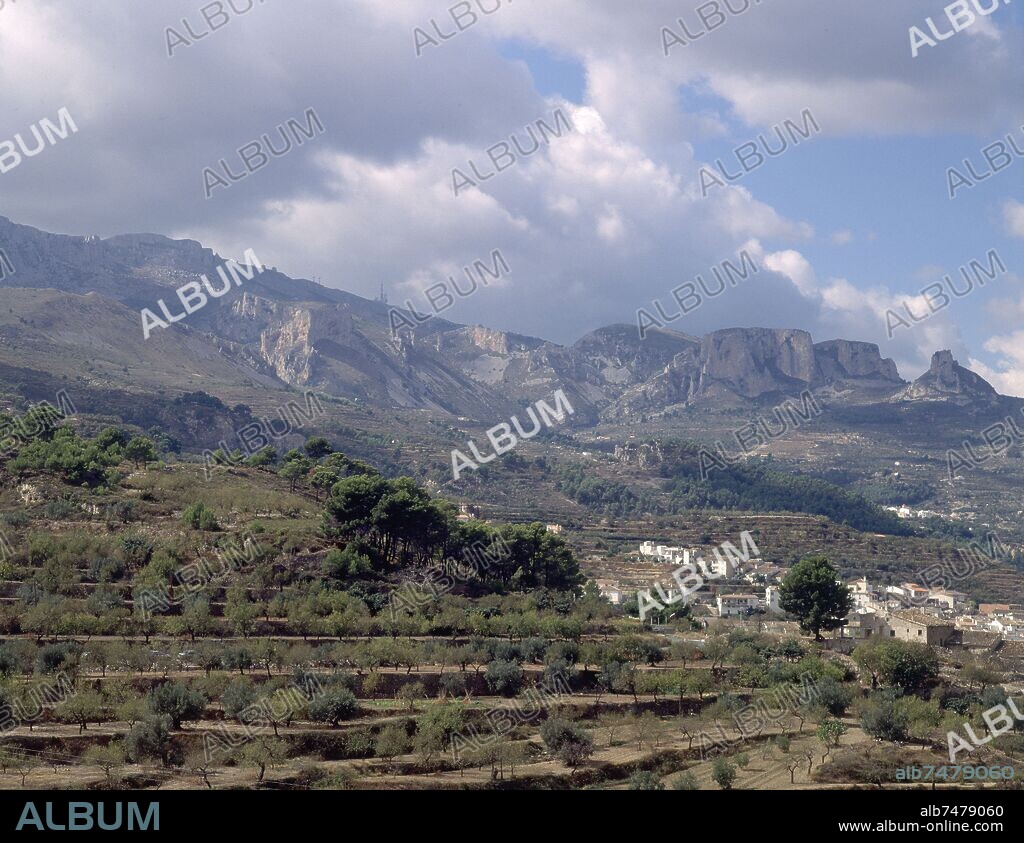 ALREDEDORES DE ALCOY-PLANTACION DE ARBOLES EN TERRAZAS Y PUEBLO-SIERRA AL FONDO.