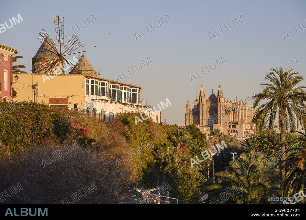 Historic Site of the Jonquet neighborhood, Palma, Mallorca, Balearic Islands, Spain.
