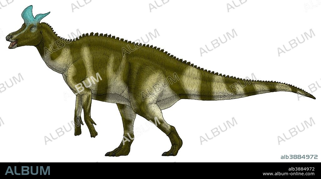 Lambeosaurus lambei, a hadrosaurid dinosaur from the Late Cretaceous Period.