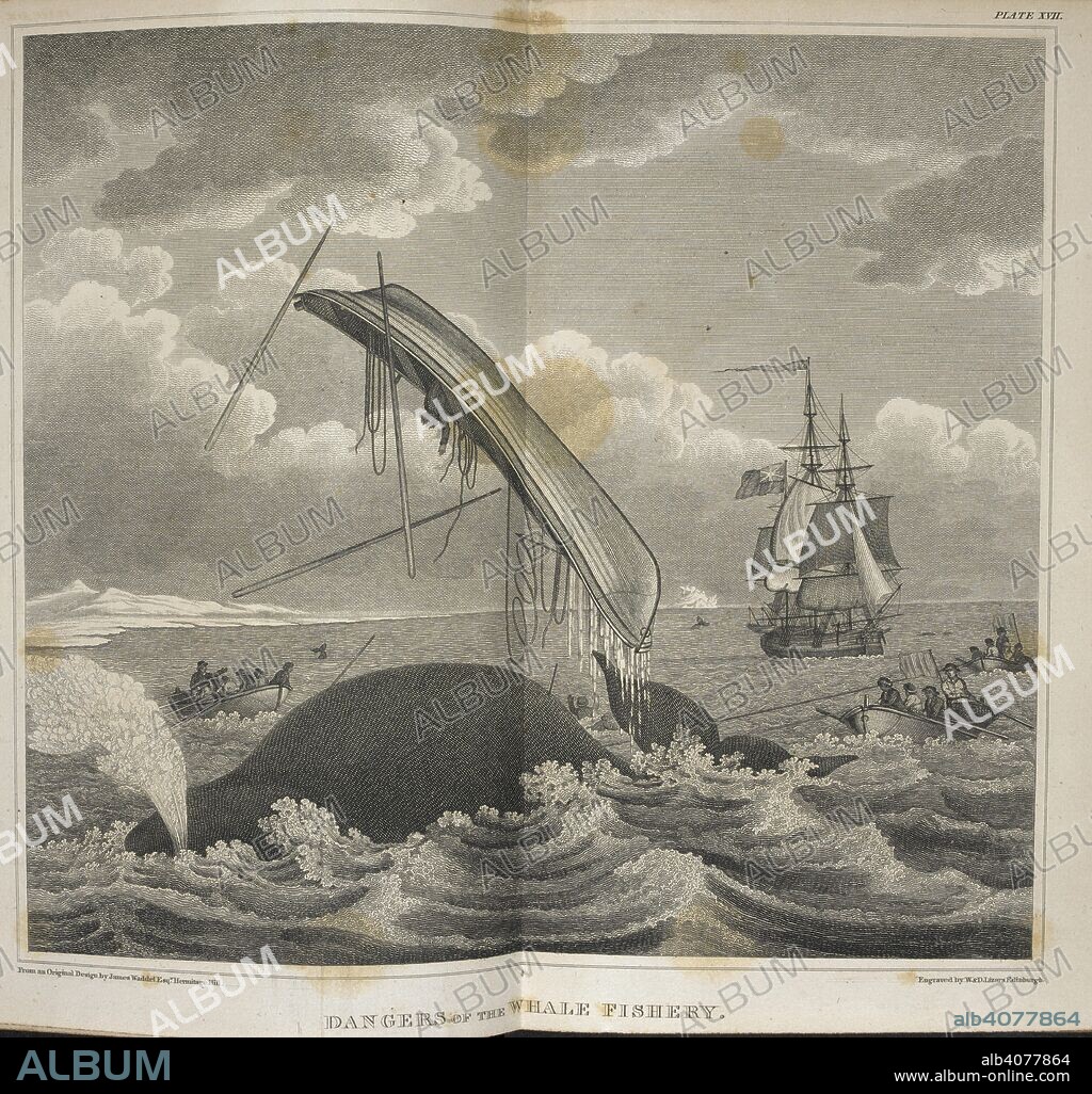 WILLIAM SCORESBY THE YOUNGER y LIZARS. Dangers of the whale fishery. One of the whaling boats has been hit by a whale and capsized. An Account of the Arctic Regions, with a history and description of the Northern Whale-Fishery. Edinburgh : A. Constable, 1820. Source: G.2603 vol. II, frontispiece. Language: English.