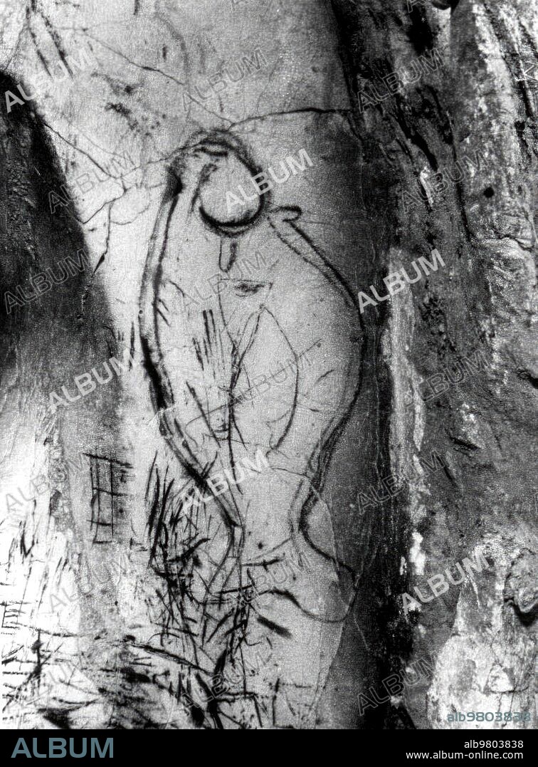 1950. Pinturas Ruprestres de un Pez, en la sala del mismo Nombre, en las Cuevas de Pileta (Málaga).