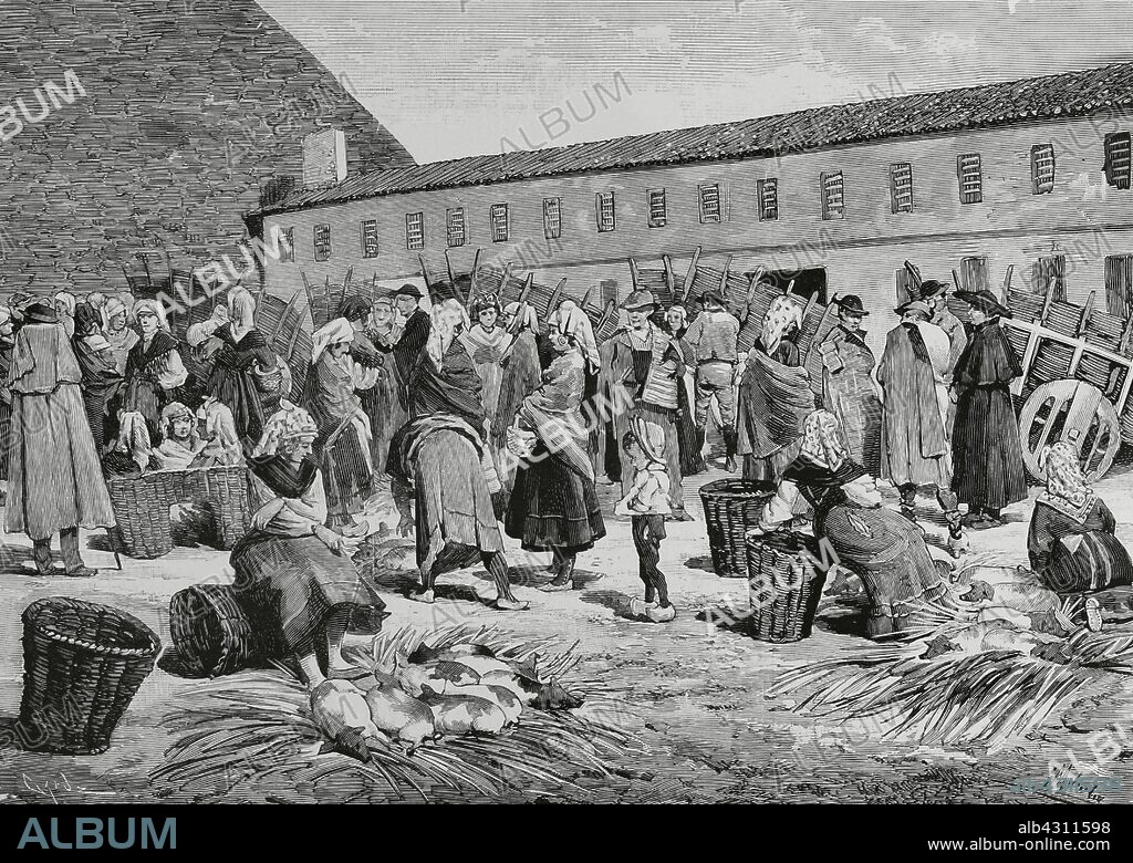España. León. El Mercado de reses de cerda en la capital, durante la feria de noviembre. Dibujo del natural por Meléndez. Grabado por Tomás Carlos Capuz (1834-1899). La Ilustración Española y Americana, 8 de noviembre de 1883.