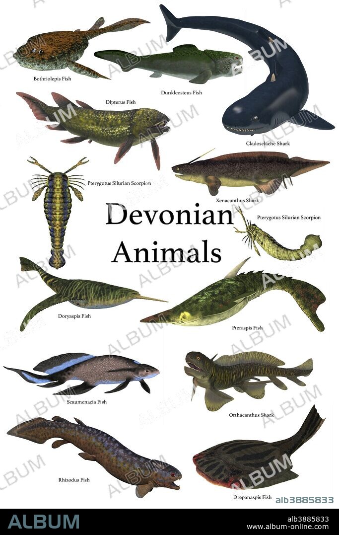 A collection of various animals and fish that lived during the Devonian Period of Earth's history.