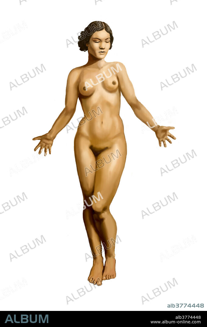 Illustration of the front of a nude woman.