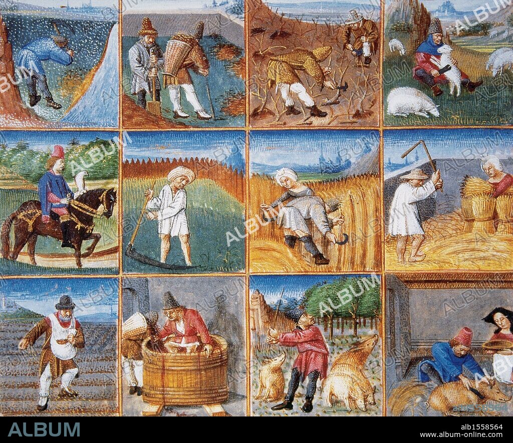 LOS MESES DEL AÑO REPRESENTANDO LAS LABORES DEL CAMPO (CALENDARIO AGRICOLA). Rustican, s. XV. Castillo de Chantilly. Francia.