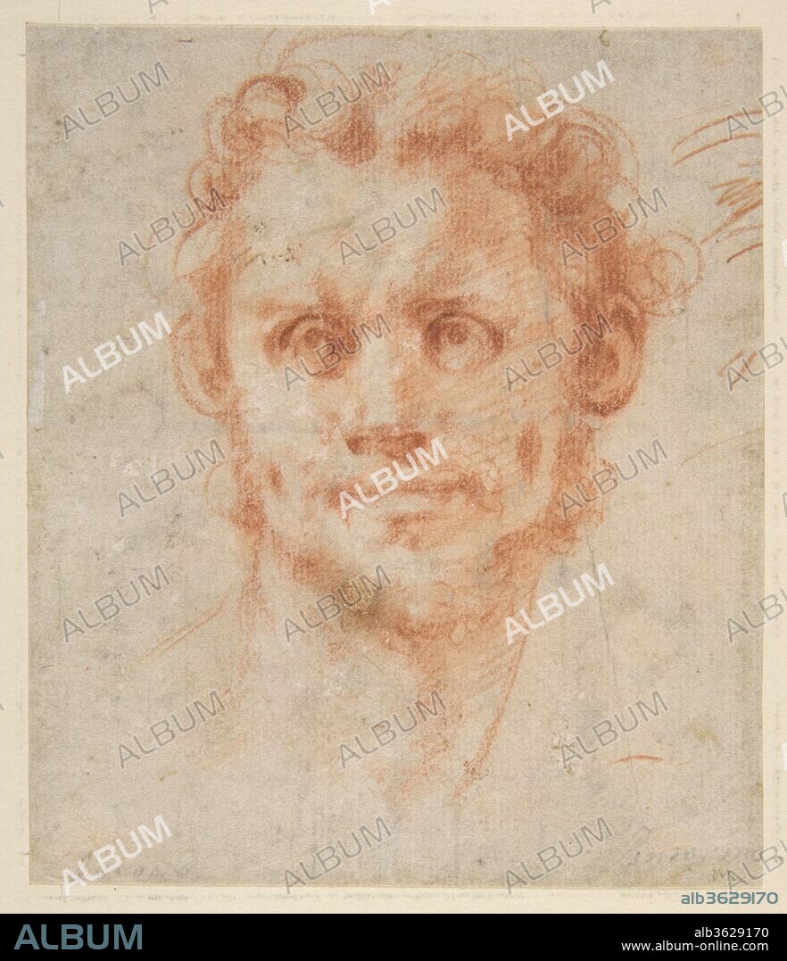 Study of a Man's Head. Artist: Jacopo da Pontormo (Jacopo Carucci) (Italian, Pontormo 1494-1556 Florence). Dimensions: sheet: 5 1/4 x 4 1/2 in. (13.3 x 11.4 cm). Date: 1494-1556.
