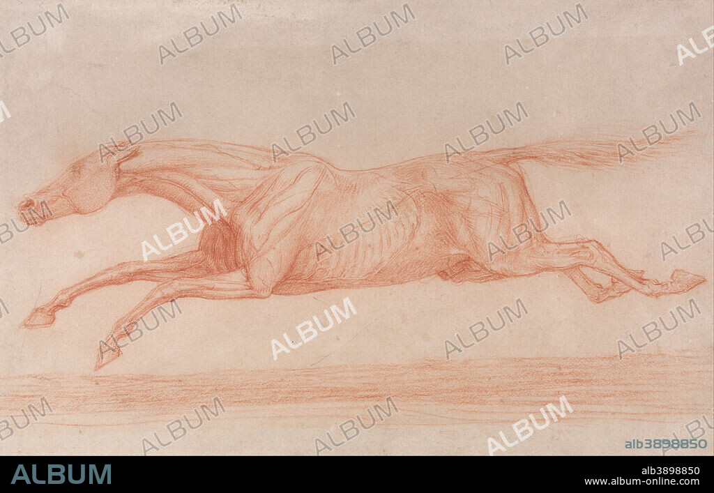 GEORGE STUBBS. Study of a Racehorse in Action: Galloping to Left, a Semi-Anatomical Study, with Skin Flayed to Show Action of Muscles. Drawing. Red chalk and graphite on thin, smooth, cream wove paper. Height: 171 mm (6.73 in); Width: 270 mm (10.62 in).