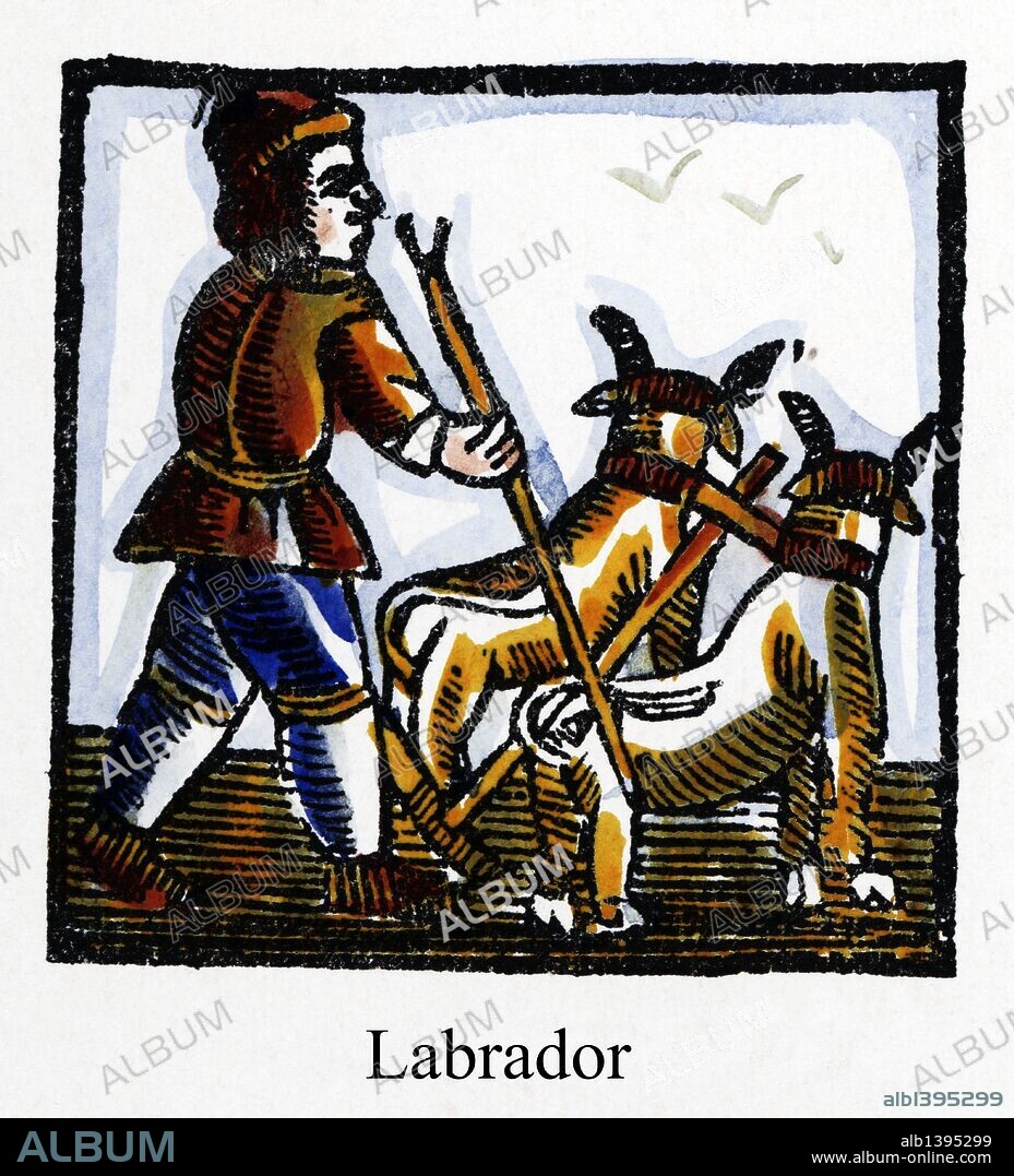 Artes y Oficios de Barcelona desde la Edad Media. Grabado al Boj del siglo XVIII. Labrador arando la tierra con la ayuda de una yunta de bueyes.