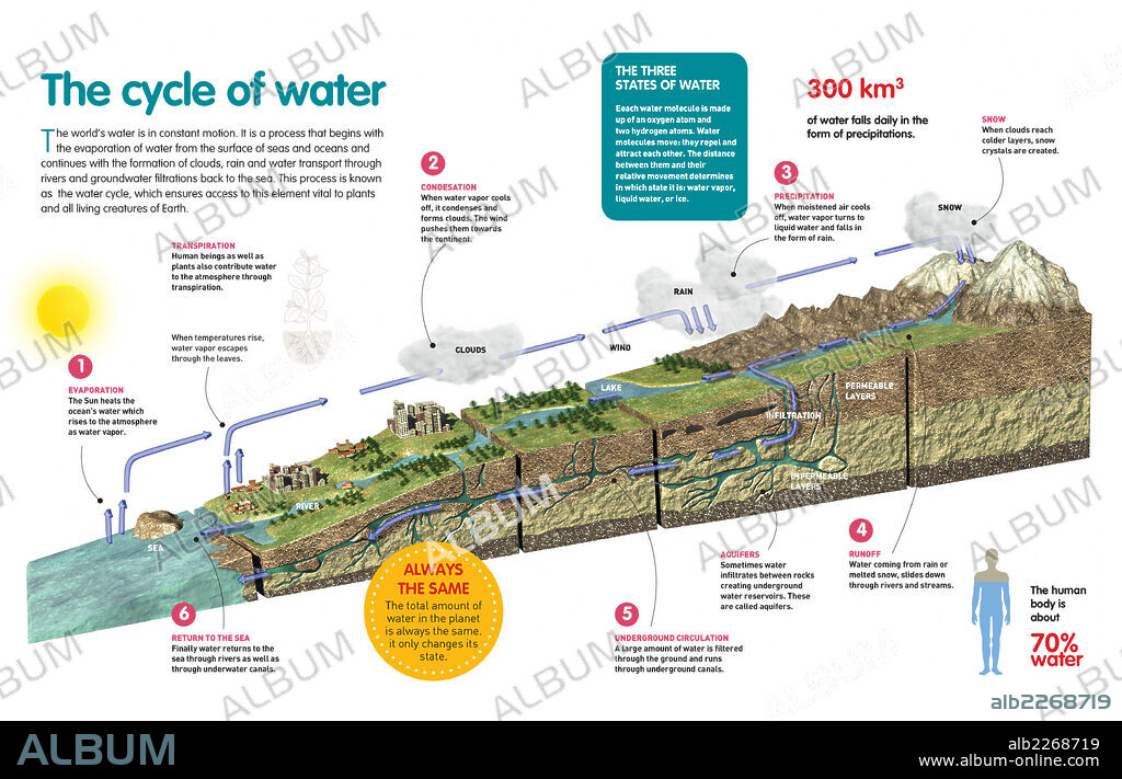 El ciclo del agua. Infografía sobre el ciclo del agua, sus fases y los diferentes estados por los que pasa.