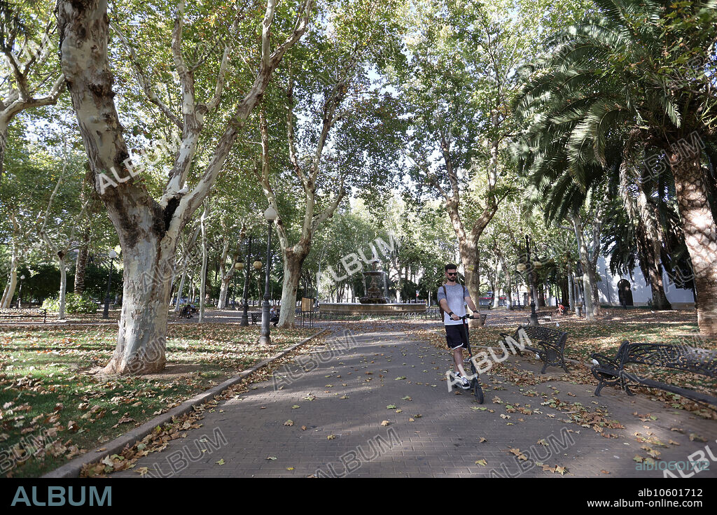 Córdoba, 13/08/2023. El parque de colón con aspecto otoñal en Agosto. Foto: Valerio Merino. Archcor.