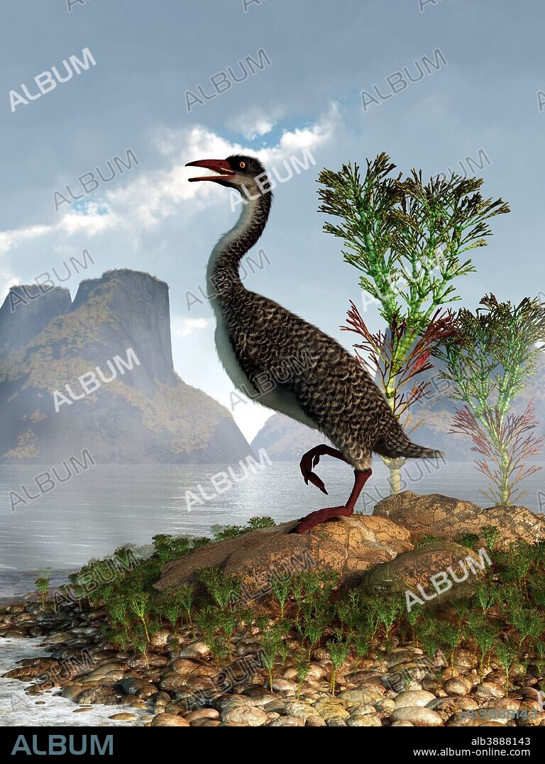 Hesperornis on the shore of a lake looking around. Hesperornis was a species of marine bird that lived during the Campanian age (late in the Cretaceous period).