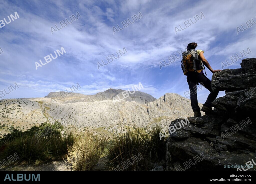 Puig Major, punto más elevado de la isla de Mallorca ,1445 metros de altitud , Sierra de Tramuntana, municipio de Escorca, Mallorca, balearic islands, spain, europe.