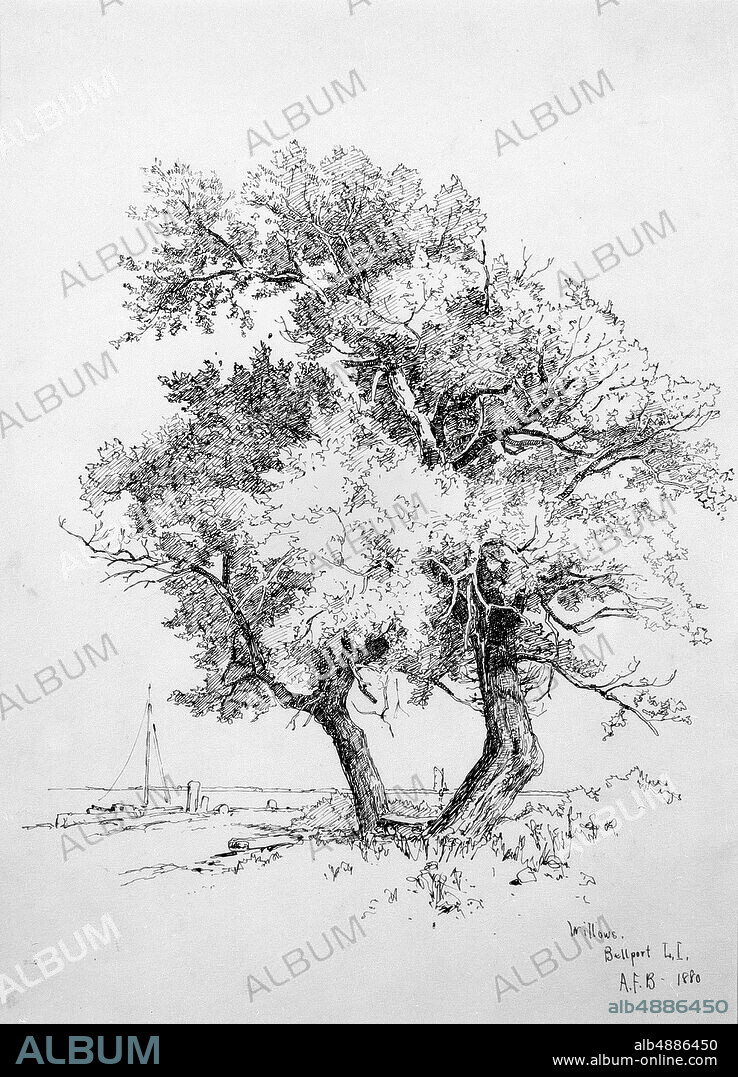 Andrew Fisher Bunner, Willows, Bellport, Long Island, American, Andrew Fisher Bunner (18411897), 1880, American, Black ink and graphite traces on off-white wove paper, 13 9/16 x 9 3/4 in. (34.4 x 24.8 cm), Drawings.