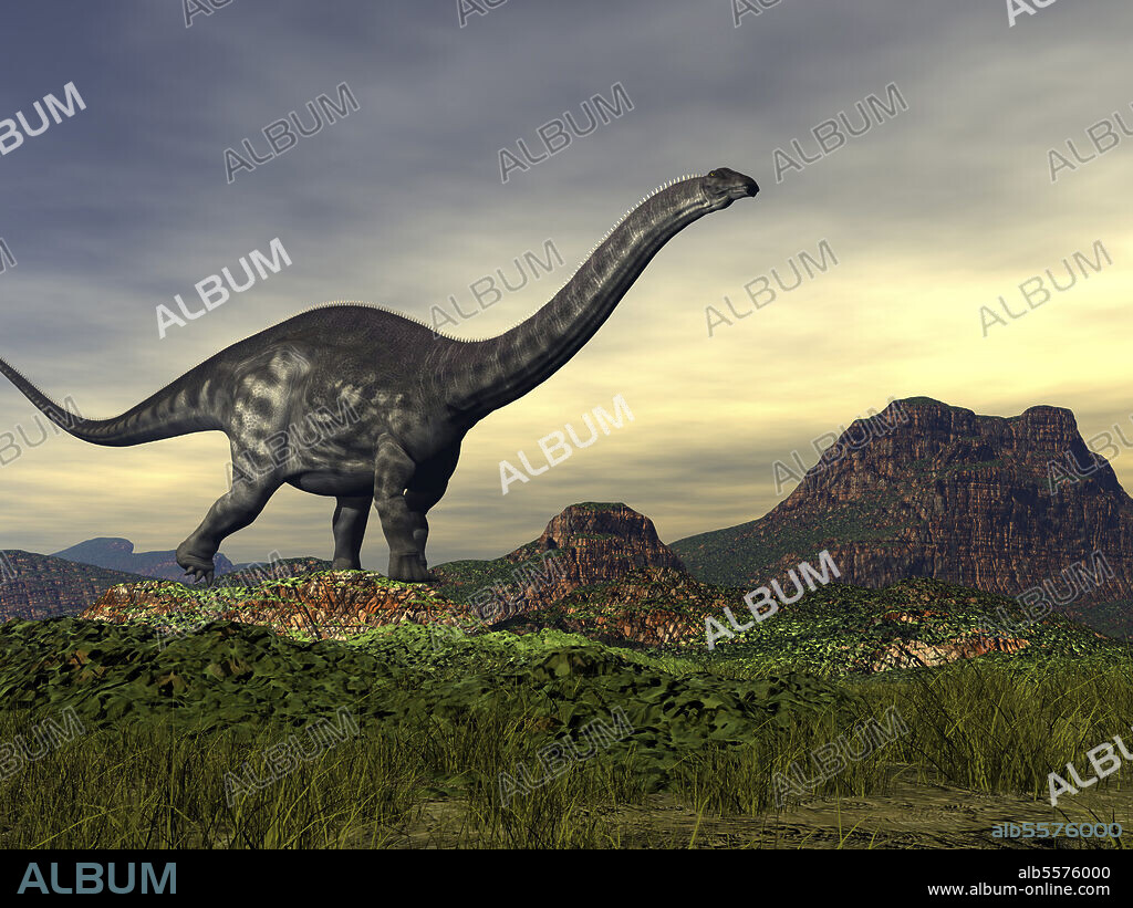Apatosaurus dinosaur walking in the mountains by day.
